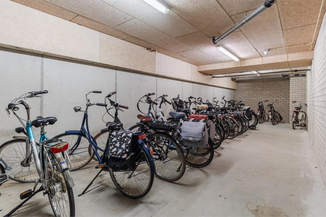 Foto 28 van Bosboompad 13