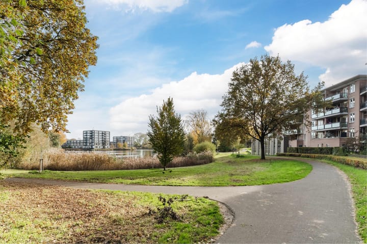 Photo 31 of Bosboompad 13