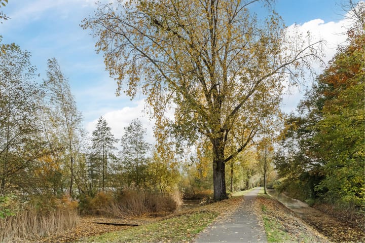 Photo 32 of Bosboompad 13