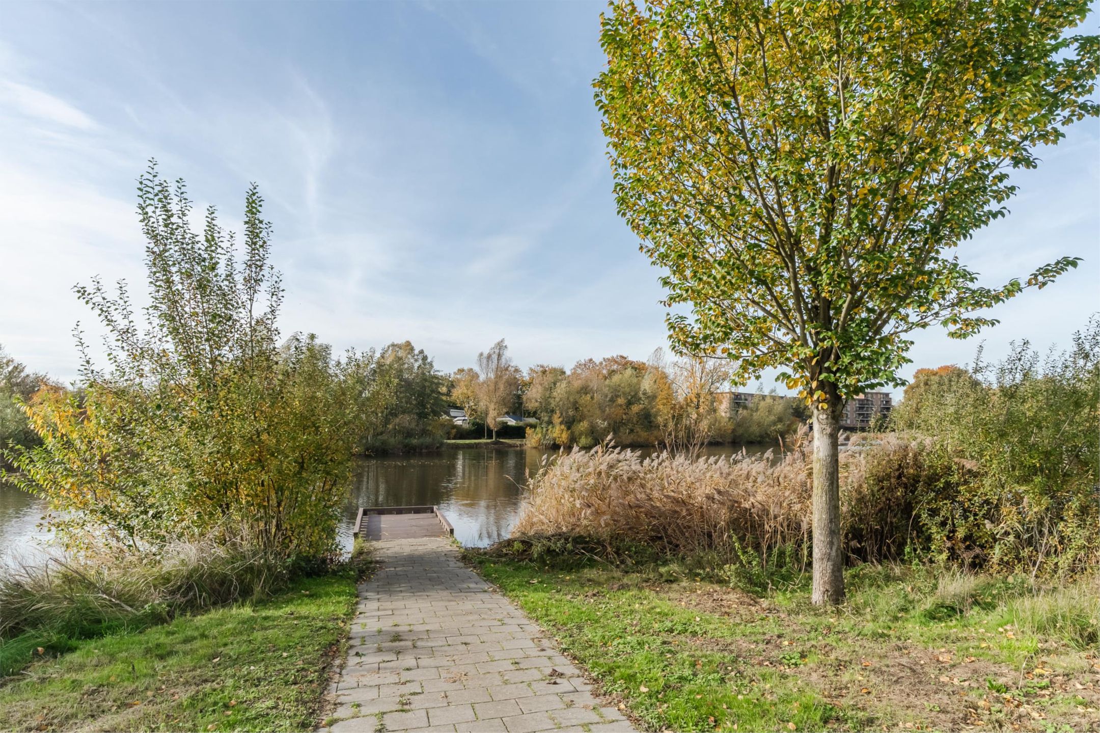 Foto 33 van Bosboompad 13