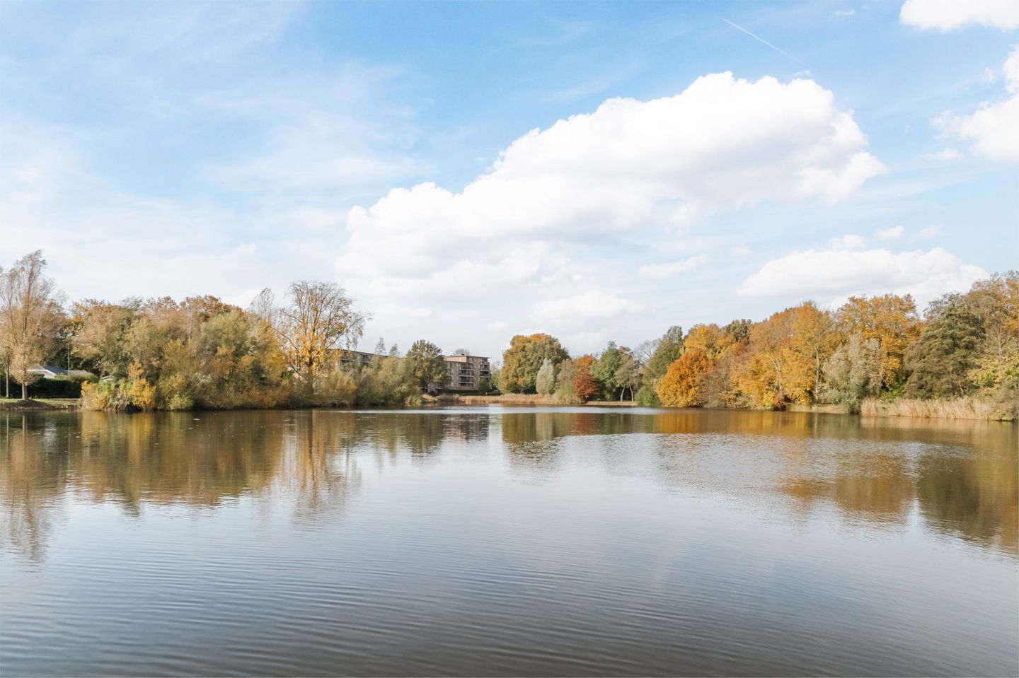 Foto 34 van Bosboompad 13