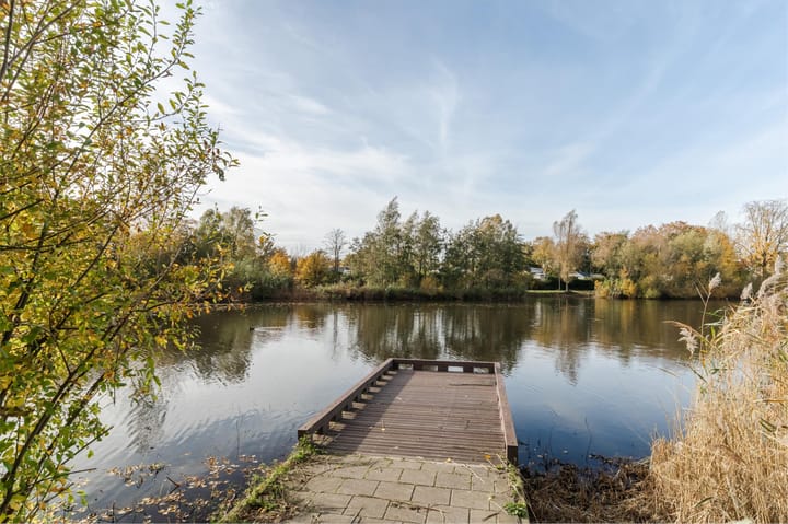 Photo 35 of Bosboompad 13