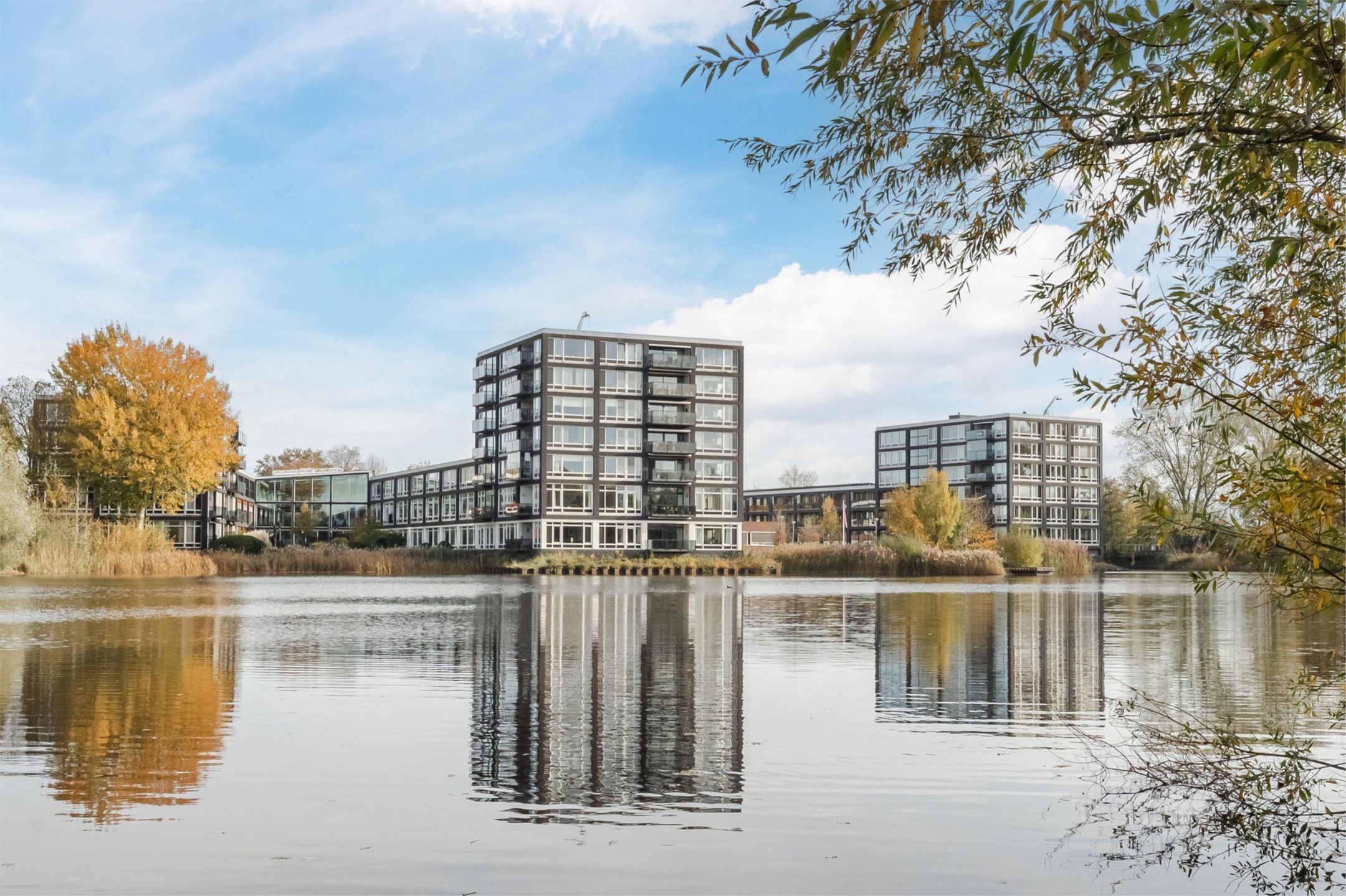 Foto 36 van Bosboompad 13