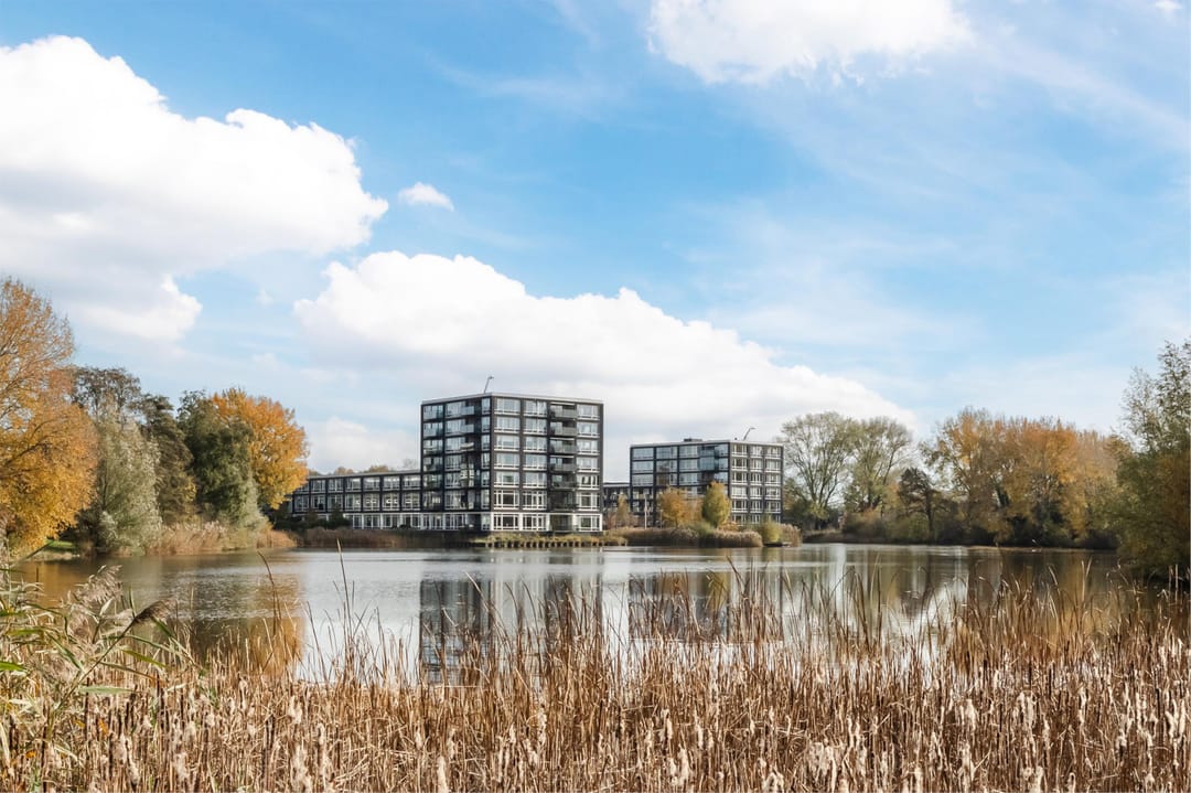 Foto 37 van Bosboompad 13