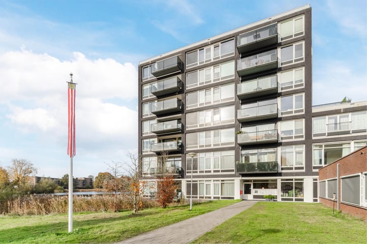 Photo 38 of Bosboompad 13