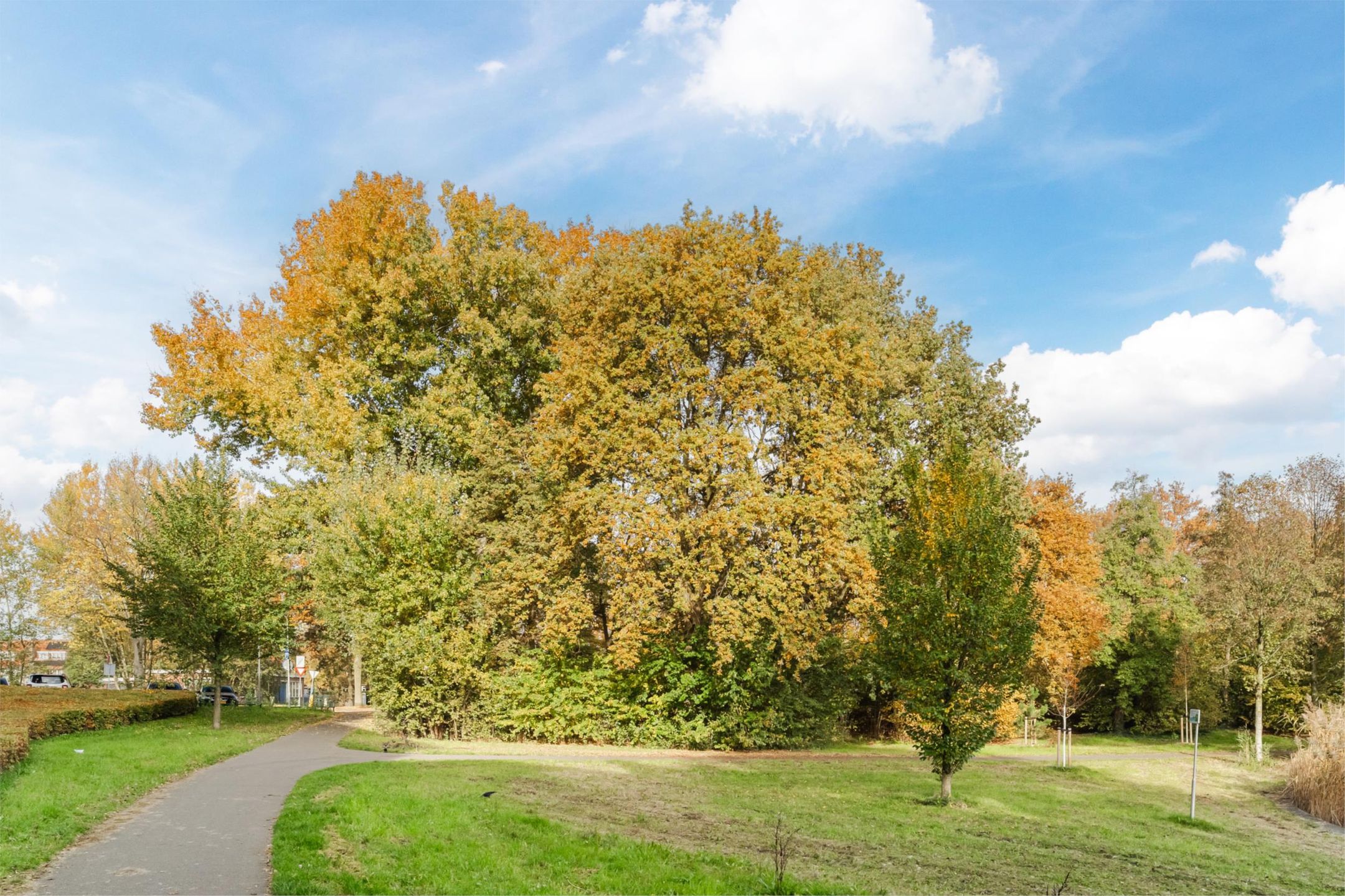 Foto 39 van Bosboompad 13