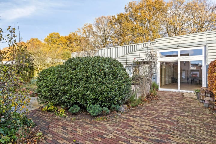 Foto 35 van Wildeman 20