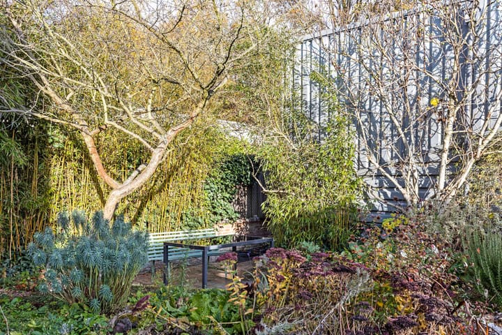 Foto 39 van Wildeman 20