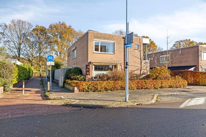 Foto 45 van Wildeman 20