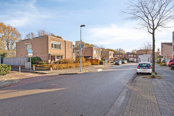 Foto 46 van Wildeman 20