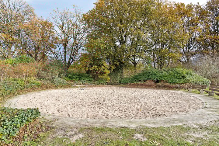 Foto 47 van Wildeman 20