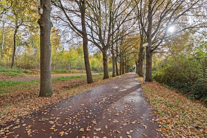 Foto 48 van Wildeman 20