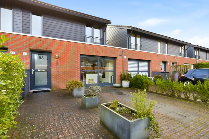 Foto 53 van Pieter Brueghelstraat 56