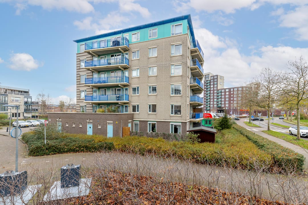 Foto 1 van Lavendelveld 12