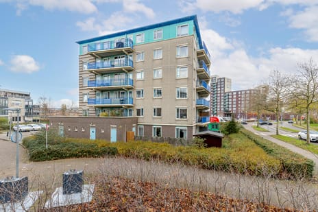 undefined main image