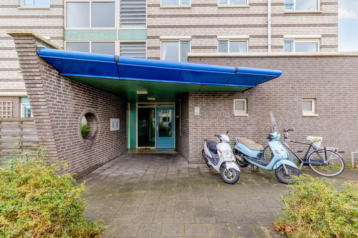 Foto 5 van Lavendelveld 12