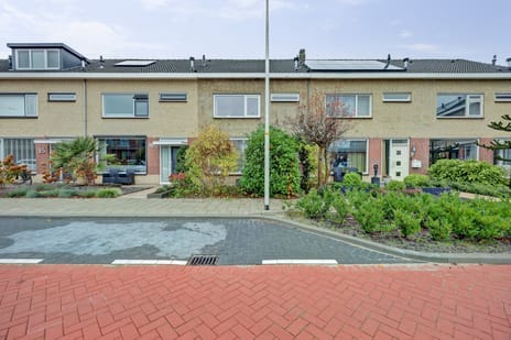 Chrysantenhof thumbnail