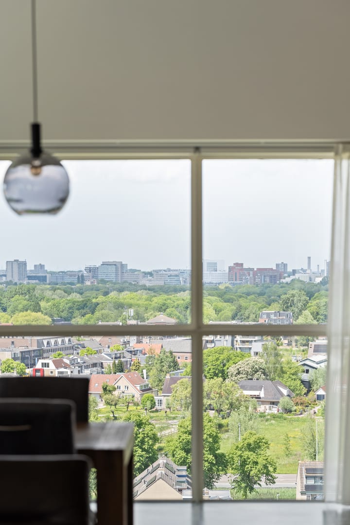 Foto 12 van Buizerdhof 161