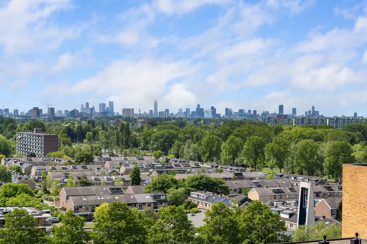 Foto 15 van Buizerdhof 161