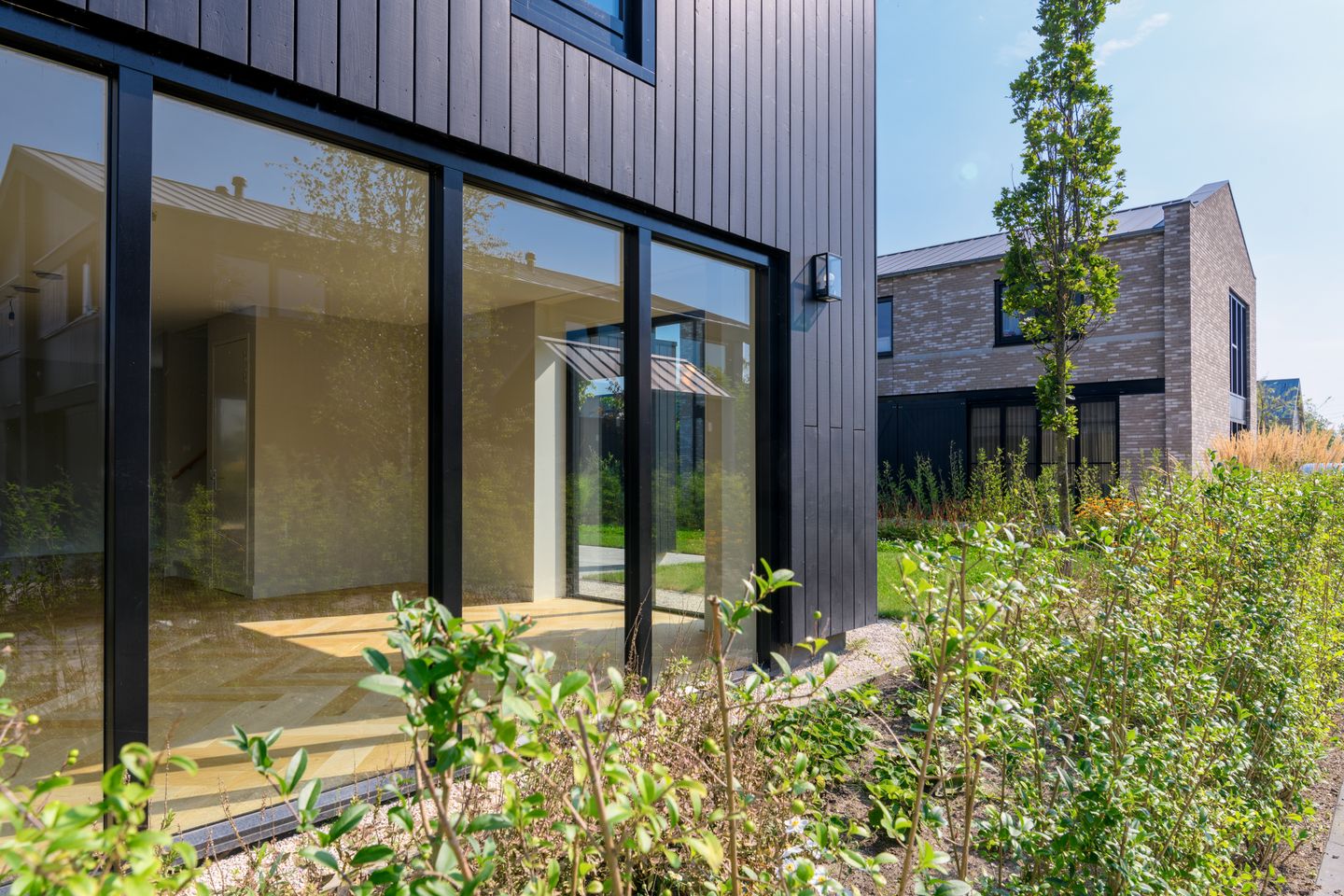 Foto 4 van IJsvogel 15