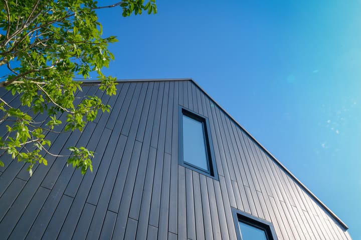 Foto 5 van IJsvogel 15