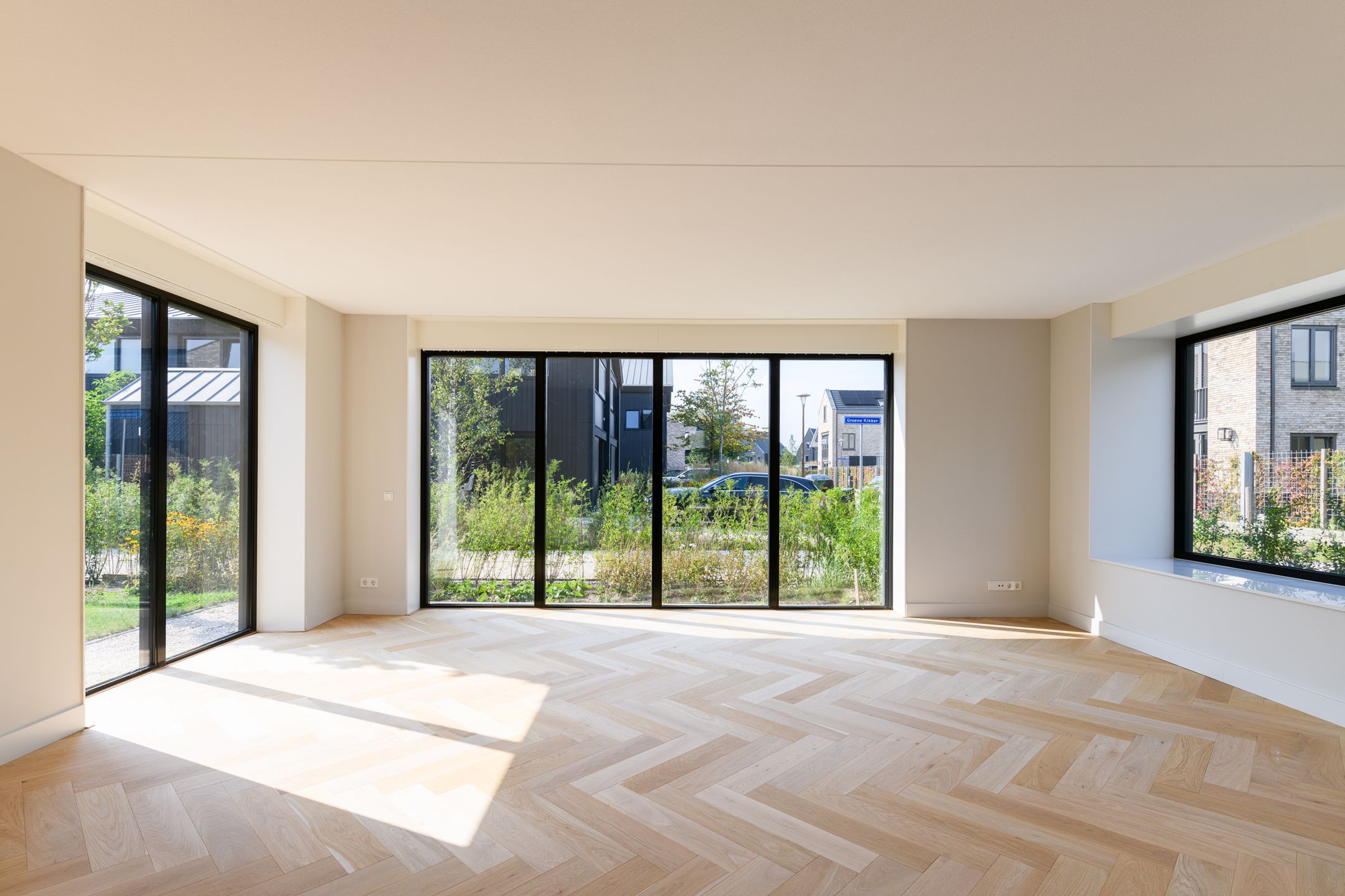 Foto 6 van IJsvogel 15