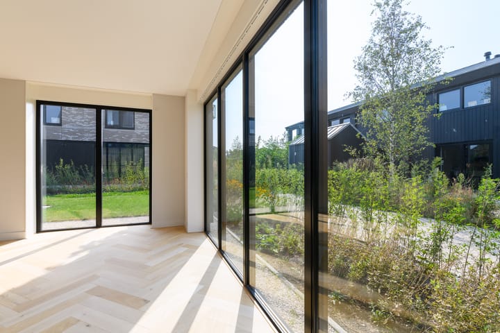 Foto 7 van IJsvogel 15