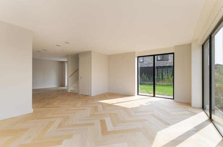 Foto 8 van IJsvogel 15