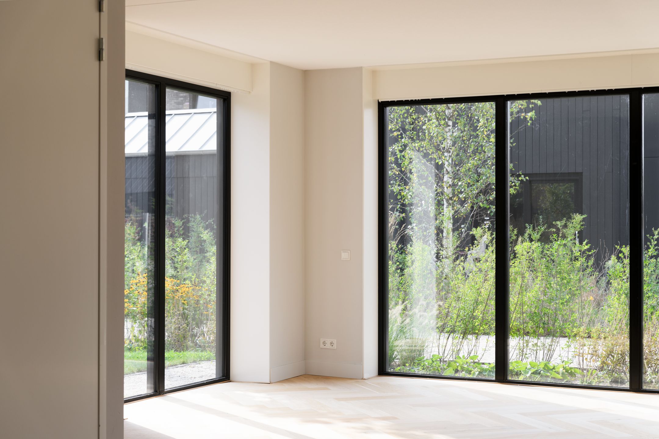 Foto 9 van IJsvogel 15