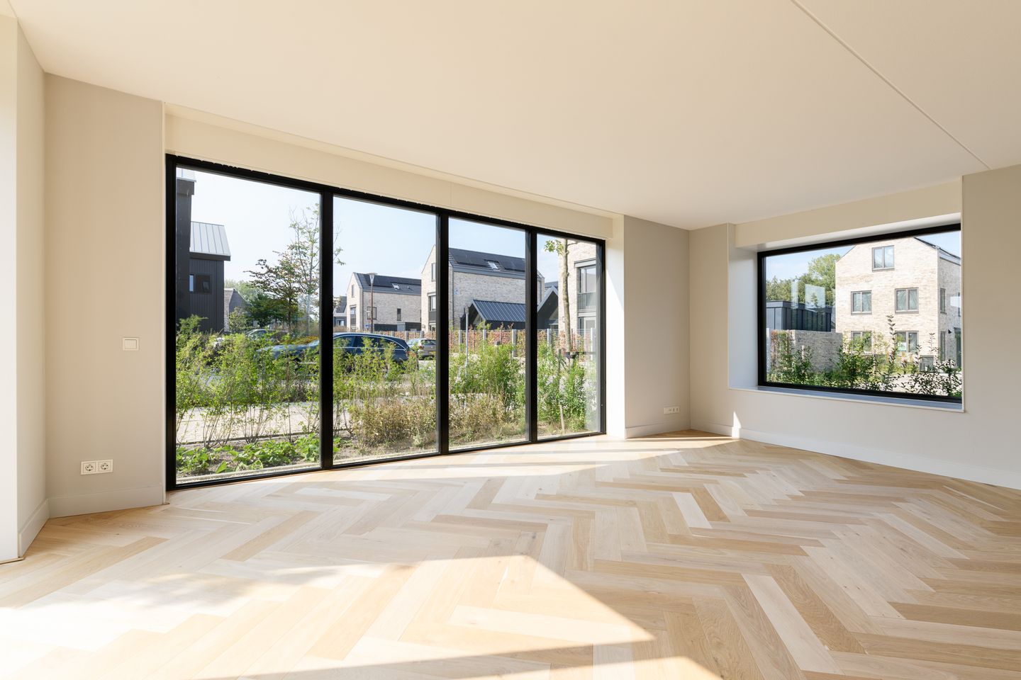 Foto 10 van IJsvogel 15