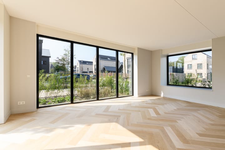 Foto 10 van IJsvogel 15