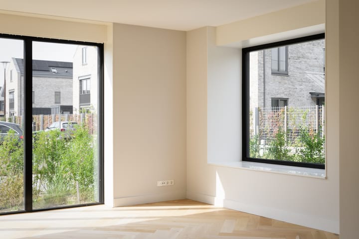 Foto 12 van IJsvogel 15