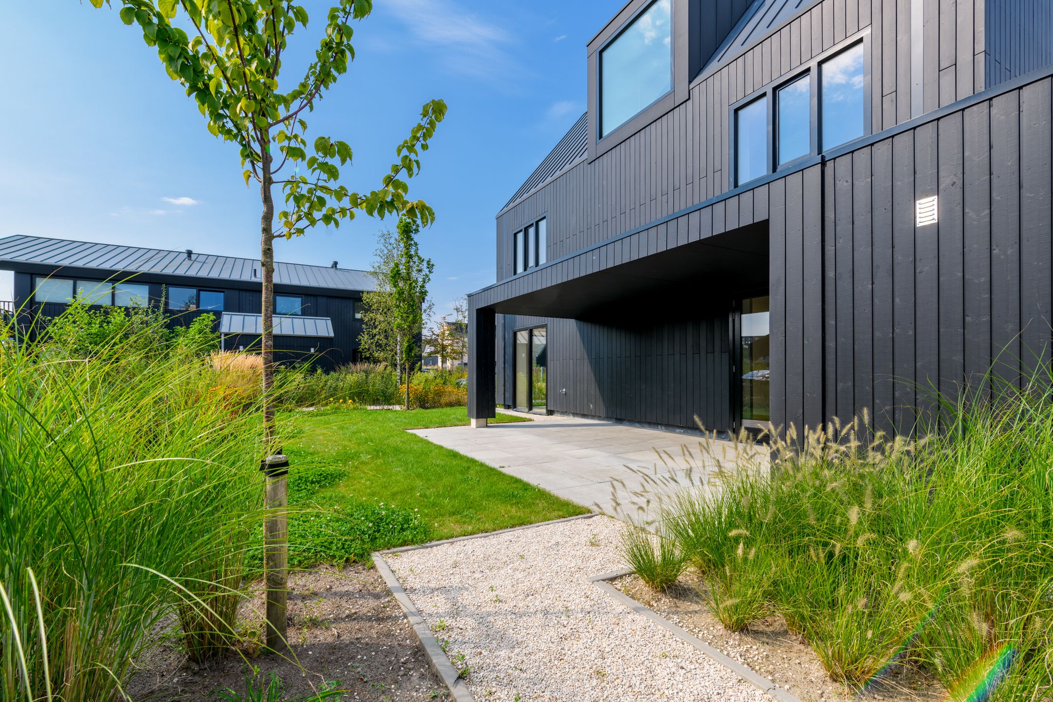 Foto 3 van IJsvogel 15