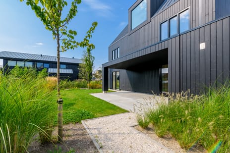 IJsvogel 15 tertiary image