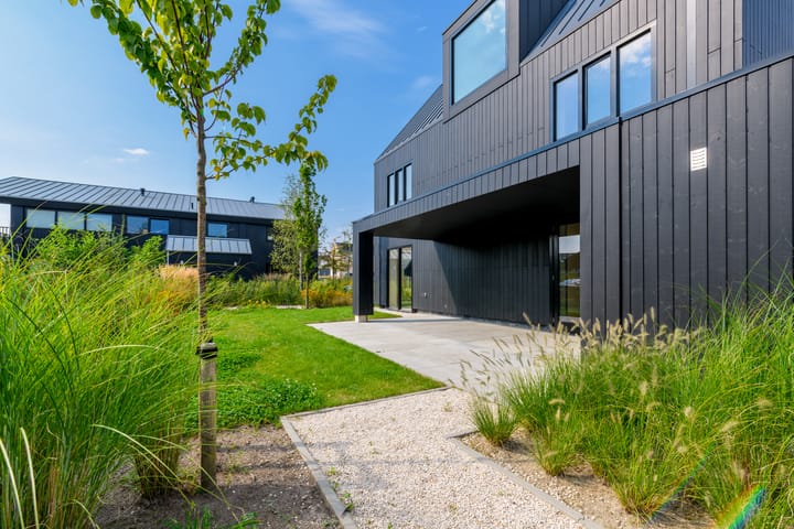 Foto 3 van IJsvogel 15