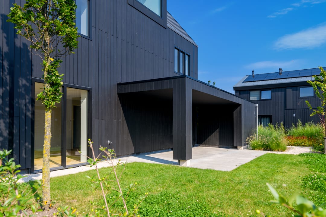 Foto 32 van IJsvogel 15