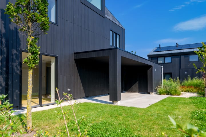 Foto 32 van IJsvogel 15