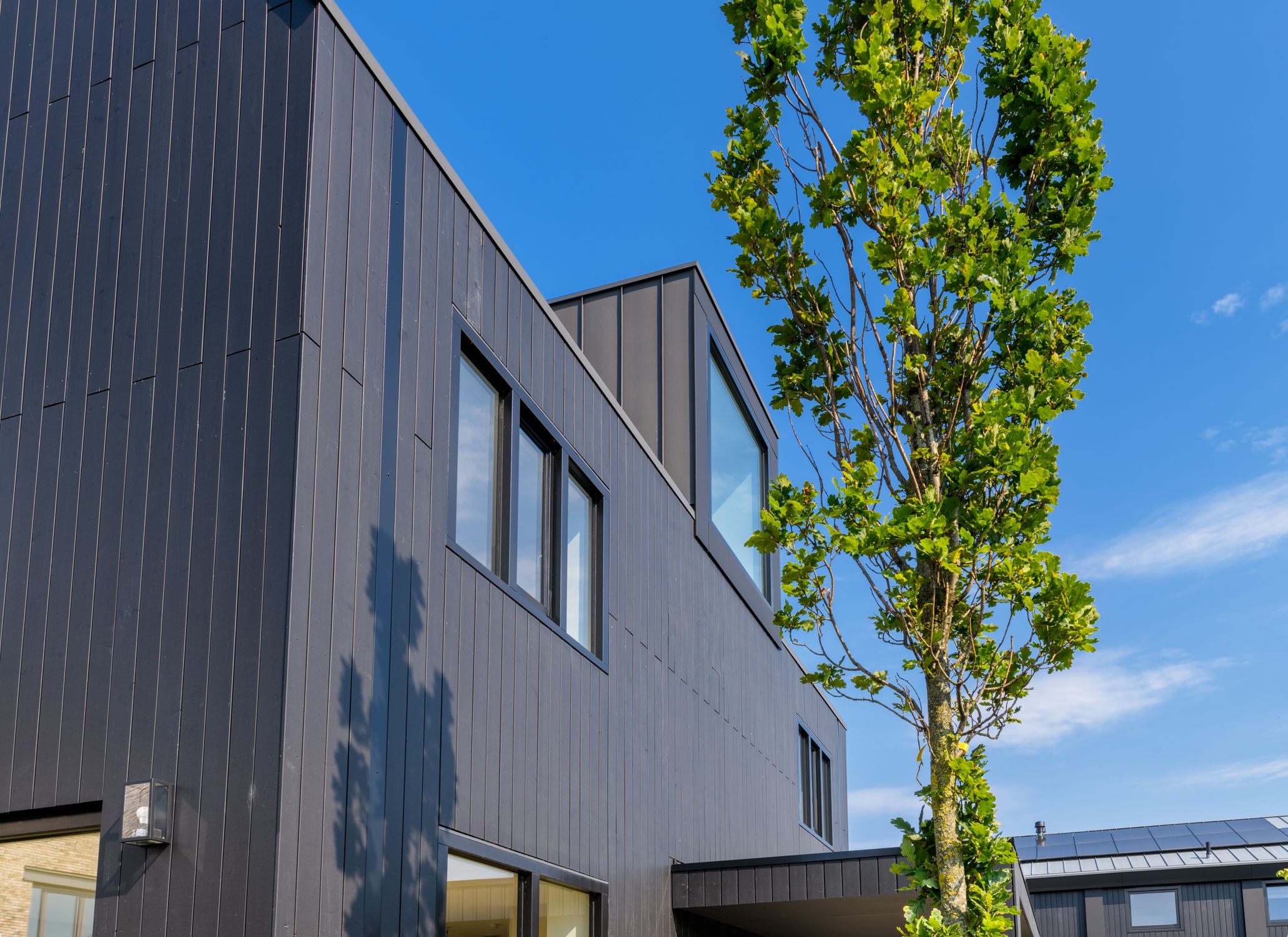 Foto 33 van IJsvogel 15