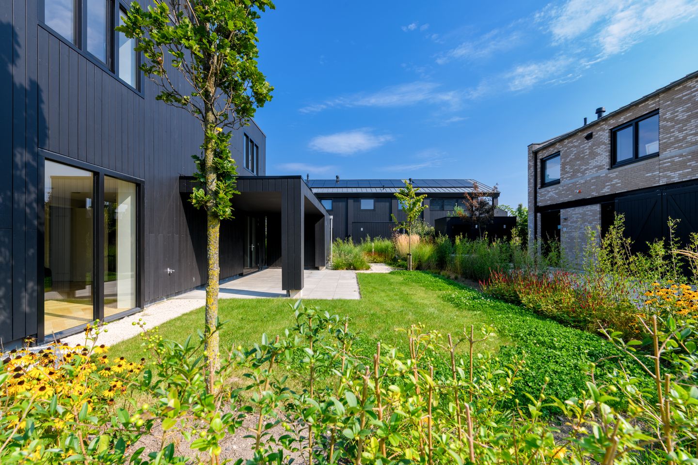 Foto 34 van IJsvogel 15