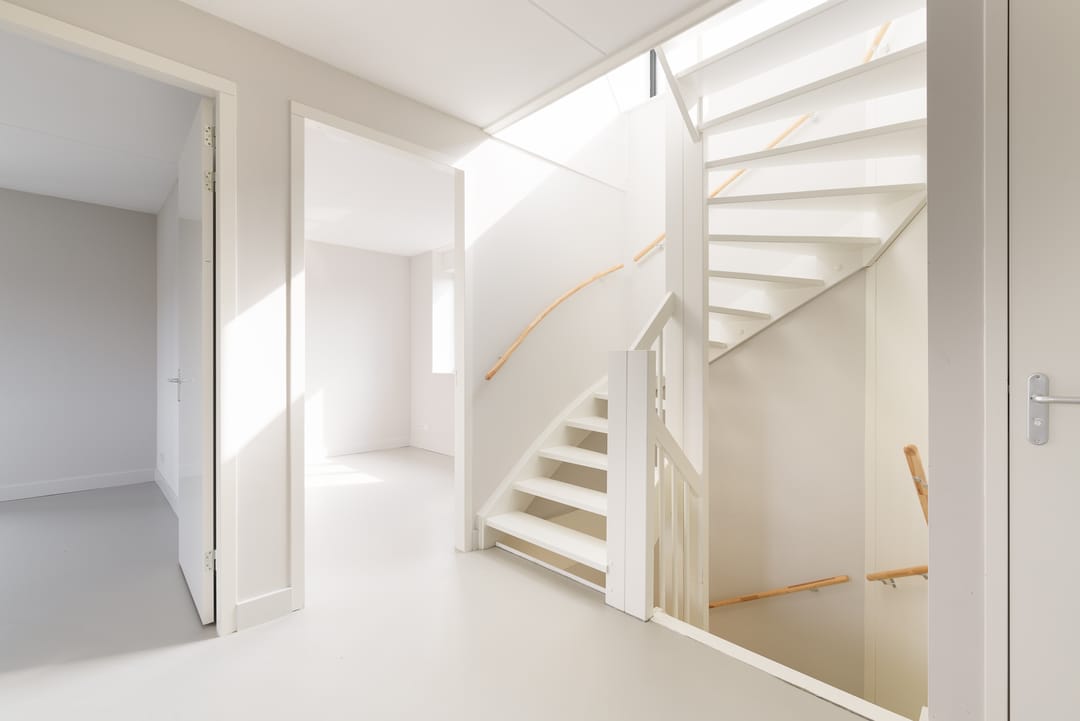 Foto 26 van IJsvogel 15