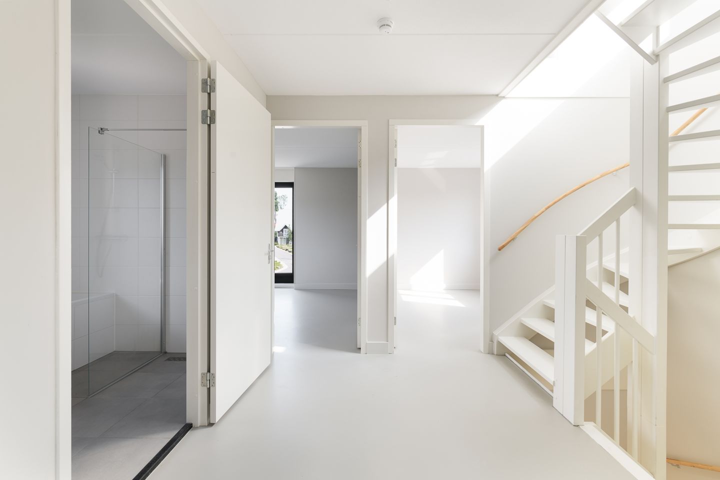 Foto 19 van IJsvogel 15