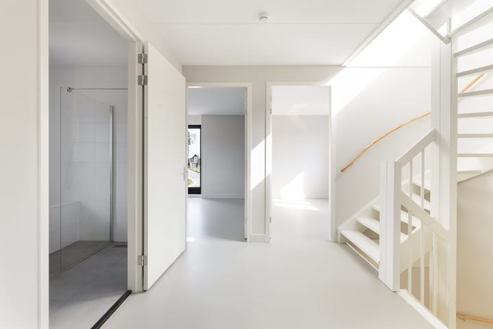 Foto 19 van IJsvogel 15