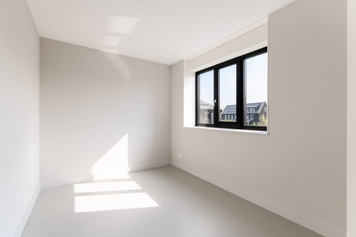 Foto 24 van IJsvogel 15