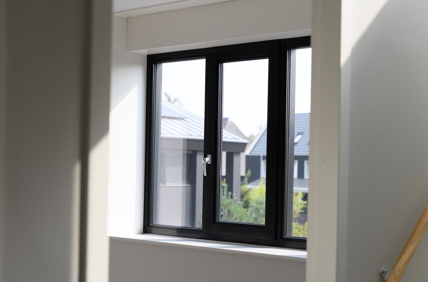 Foto 25 van IJsvogel 15