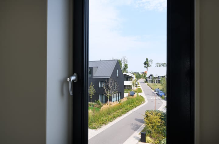 Foto 35 van IJsvogel 15