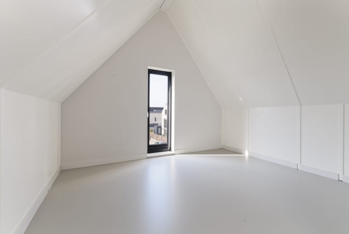 Foto 30 van IJsvogel 15