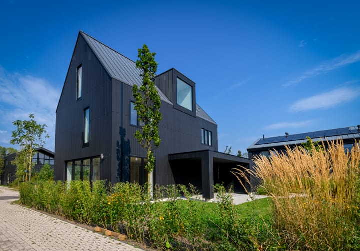 Foto 2 van IJsvogel 15