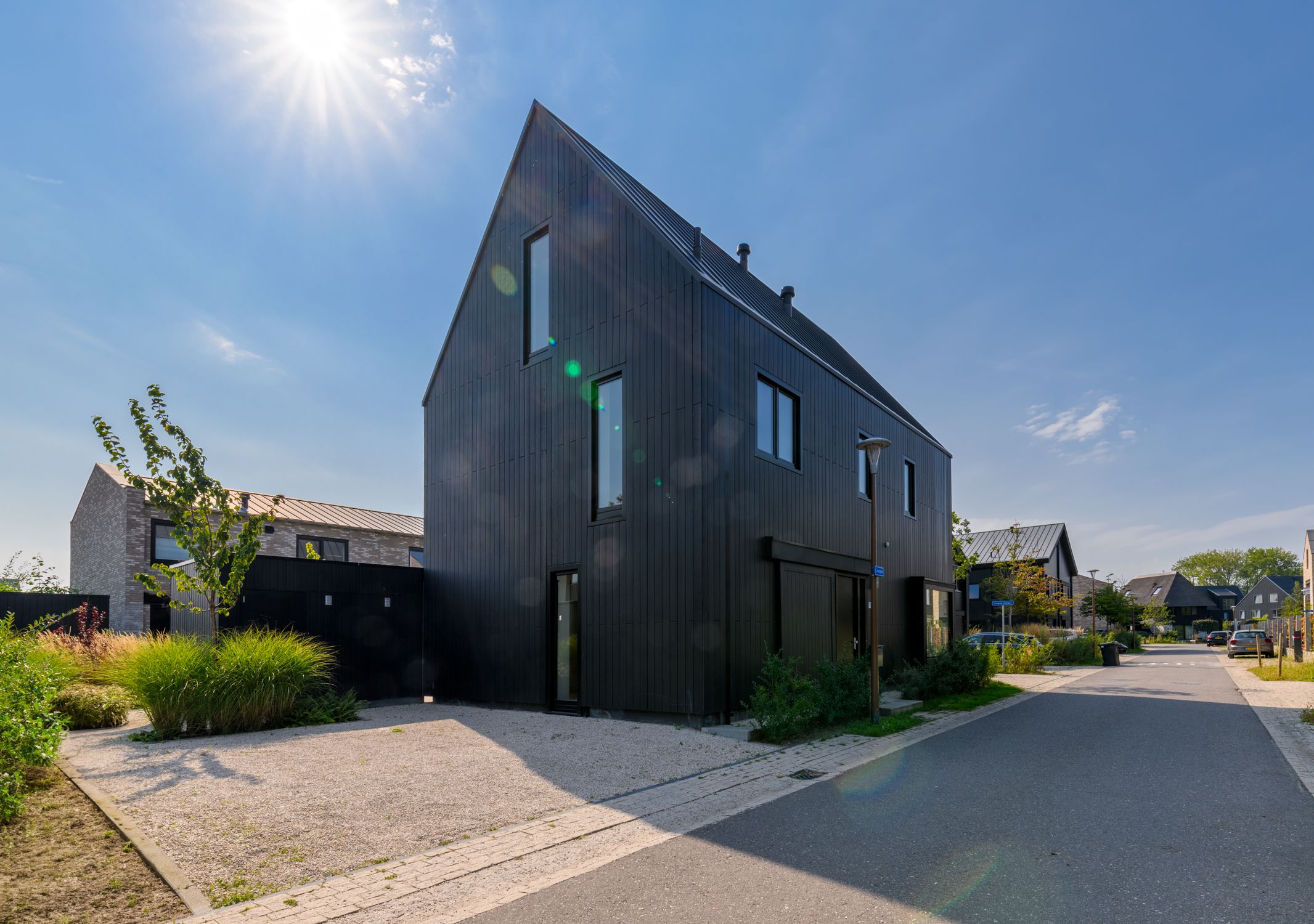 Foto 36 van IJsvogel 15