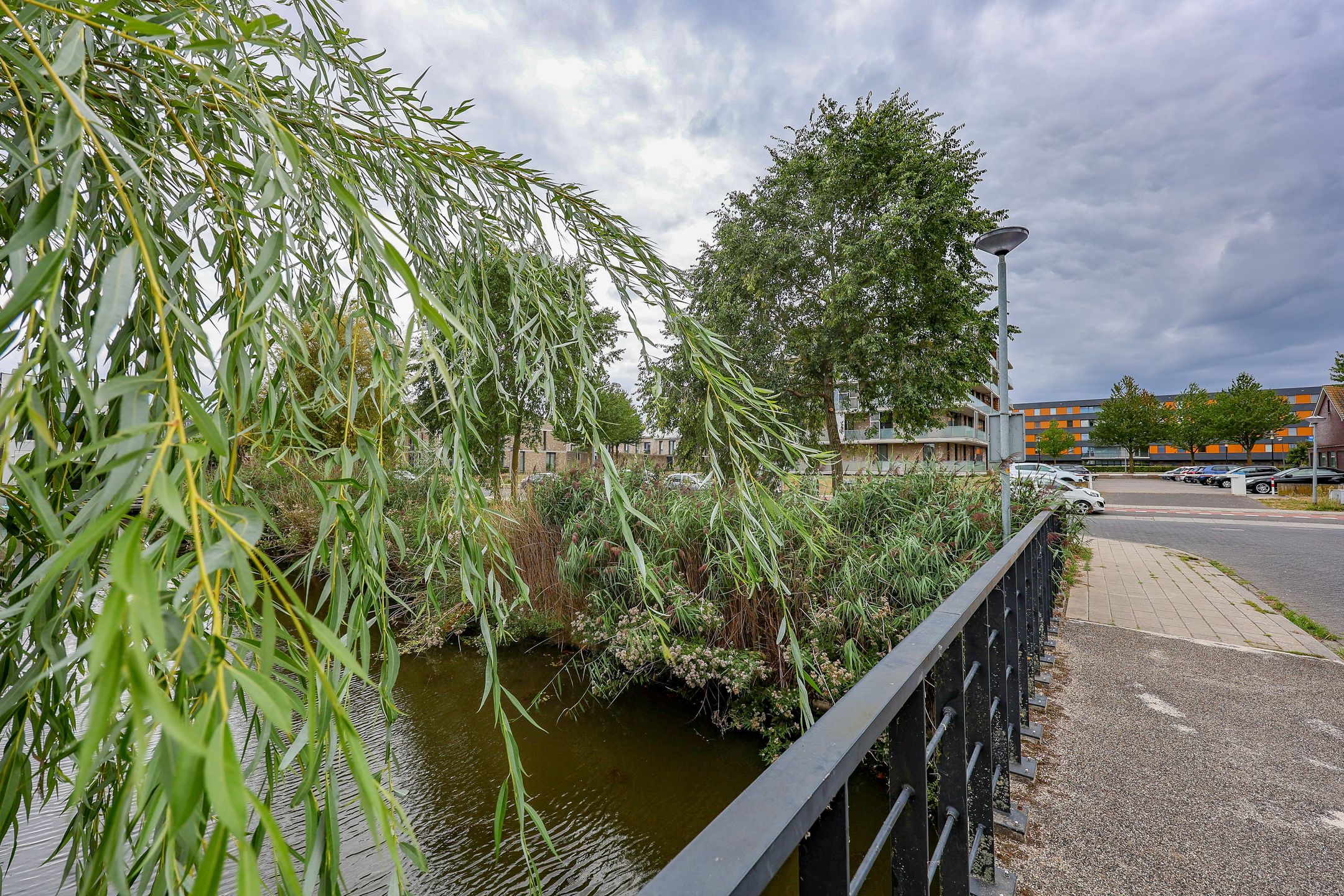 Foto 39 van Boelijn 167