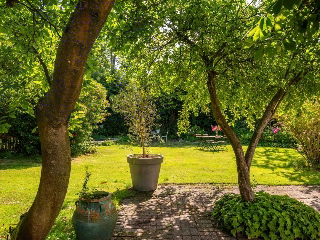 Foto 41 van Nesdijk 25